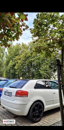 Audi A3 cena 12000 przebieg: 347000, rok produkcji 2004 z Rybnik małe 29